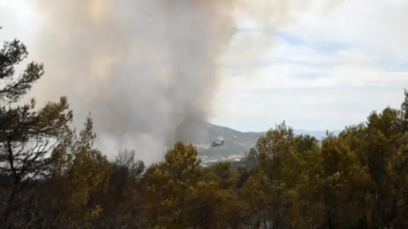 Gard, Hérault, Aude en vigilance orange pour risque élevé de feux de forêt