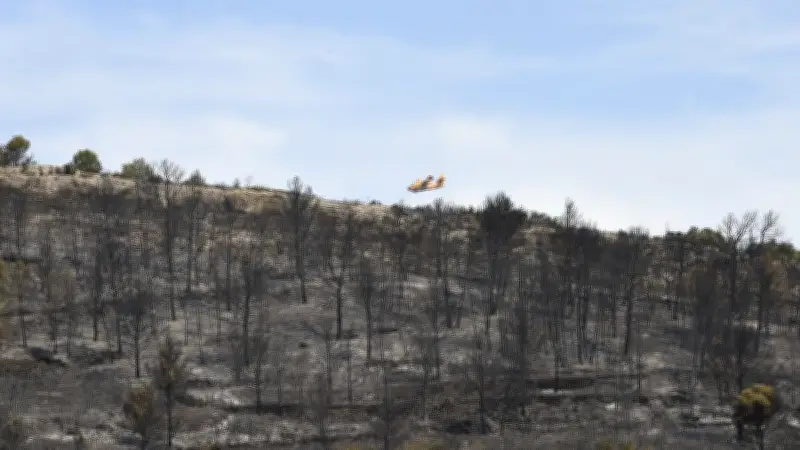 Garde à vue prolongée pour trois agents ONF dans l'enquête du mégafeu de l'Aude