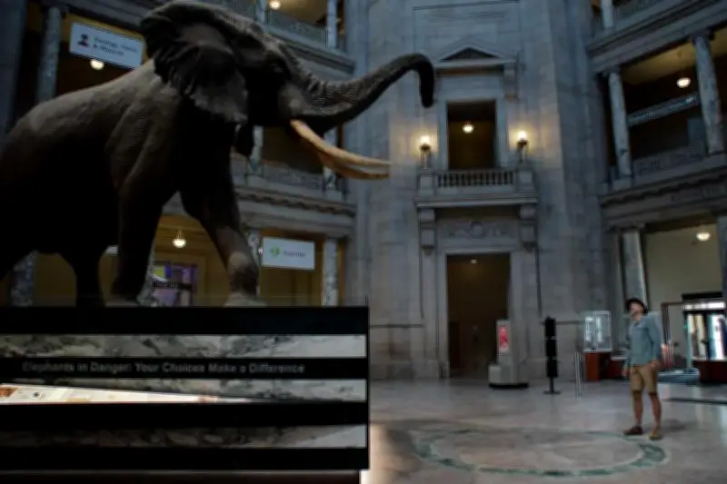 « Ghost Elephants » : Werner Herzog plonge dans l'Angola mystérieux