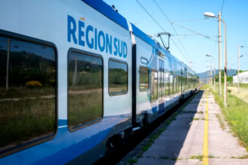 Grève SNCF : près d'un cheminot sur deux mobilisé selon la CGT