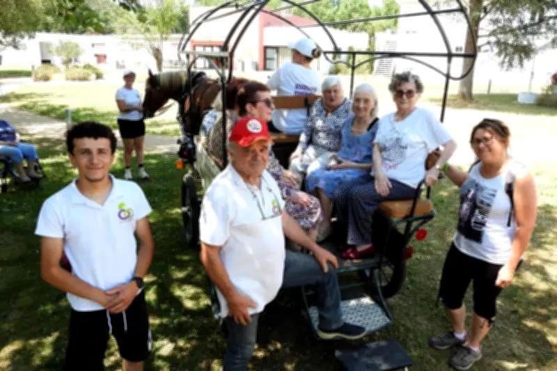 Handidream : médiation animale pour seniors et enfants hospitalisés