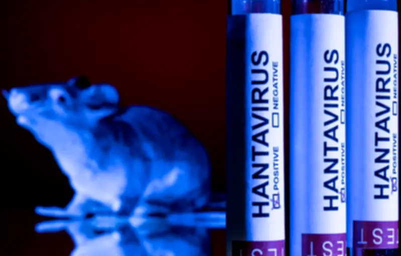 Hantavirus : 22 cas contacts français quittent l'hôpital après 42 jours