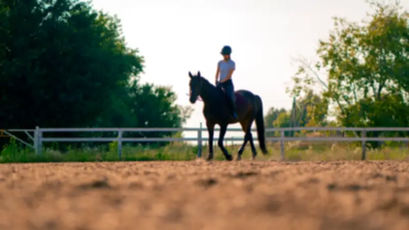 Haute-Garonne : une cavalière de 17 ans grièvement blessée après une chute de cheval