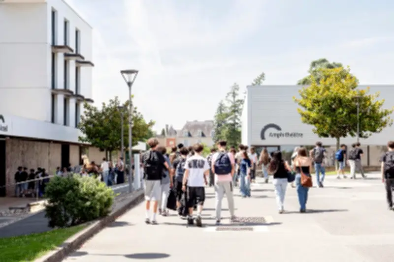 IA : une heure d'enseignement par semaine pour les lycéens de seconde à la rentrée 2027