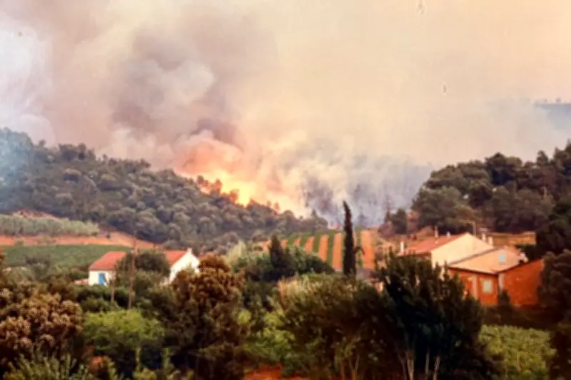 Il y a 40 ans, le plus grand incendie d'Hyères ravageait les Maures