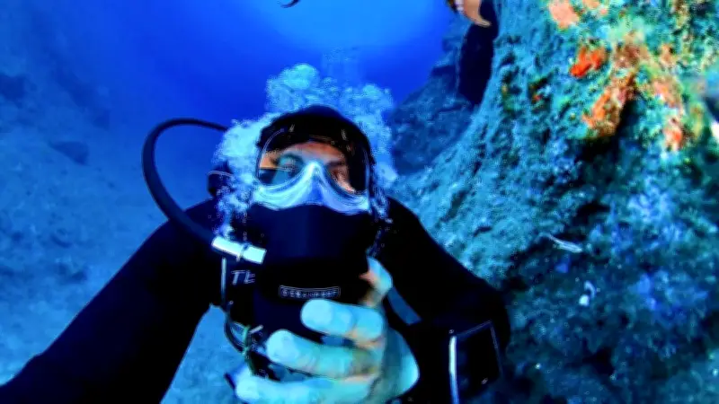 Ils créent En direct sous la mer à La Grande-Motte pour leur grand-mère malade