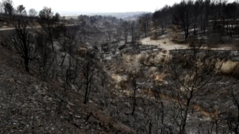Incendie dans l'Aude : agent ONF mis en examen pour destruction involontaire