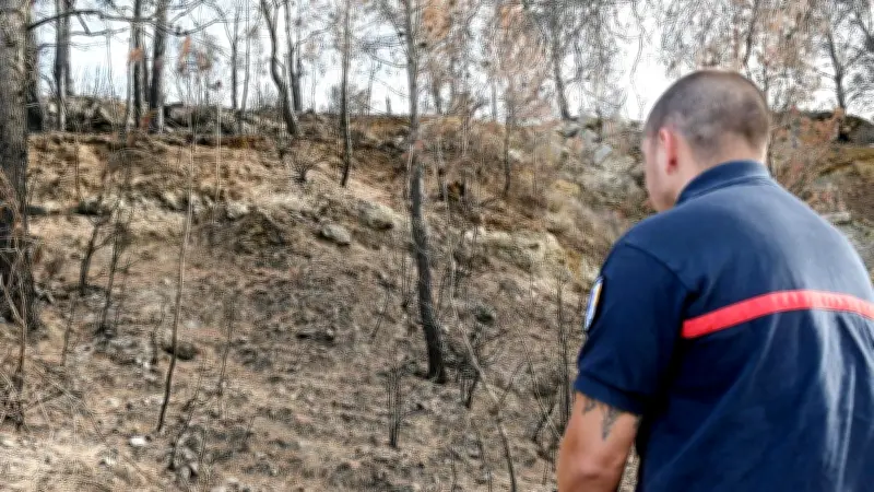 Incendie dans l'Aude : des agents de l'ONF en garde à vue, le mégot suspecté