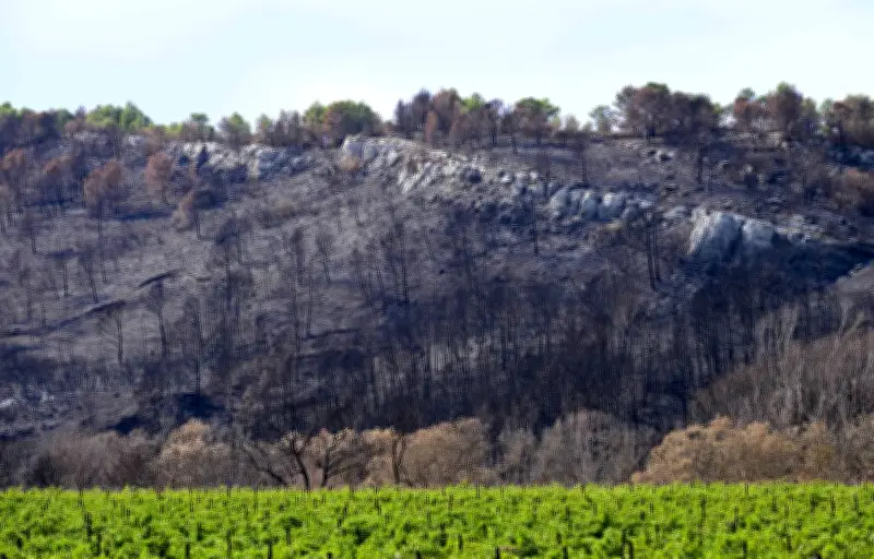Incendie dans l'Aude : un agent ONF présenté à un juge