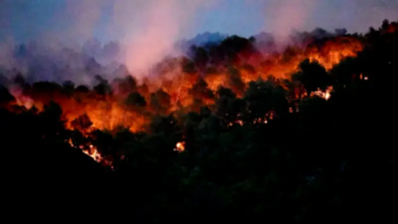 Incendie dans l'Aude : un expert plaide pour plus de moyens