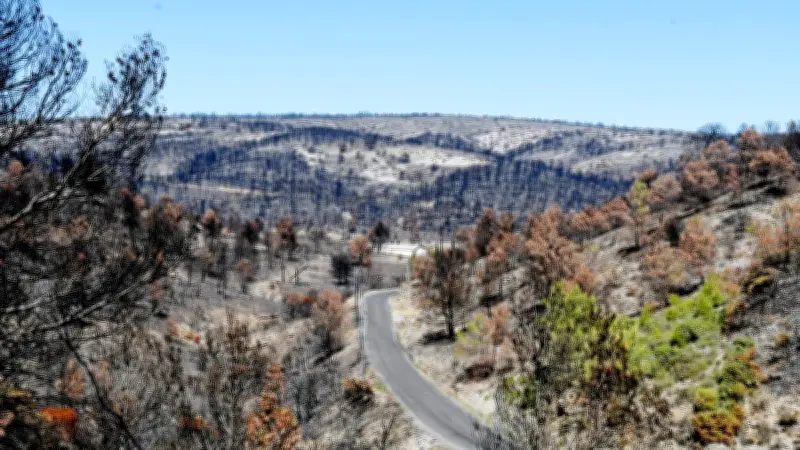 Incendie dans l'Aude : un mois après, un mort, l'enquête se poursuit