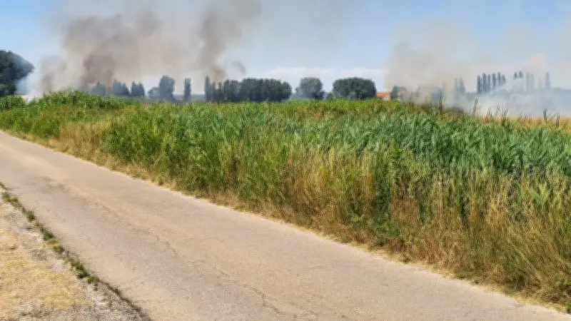 Incendie de 5 hectares à Beaucaire : pompiers mobilisés, habitation épargnée