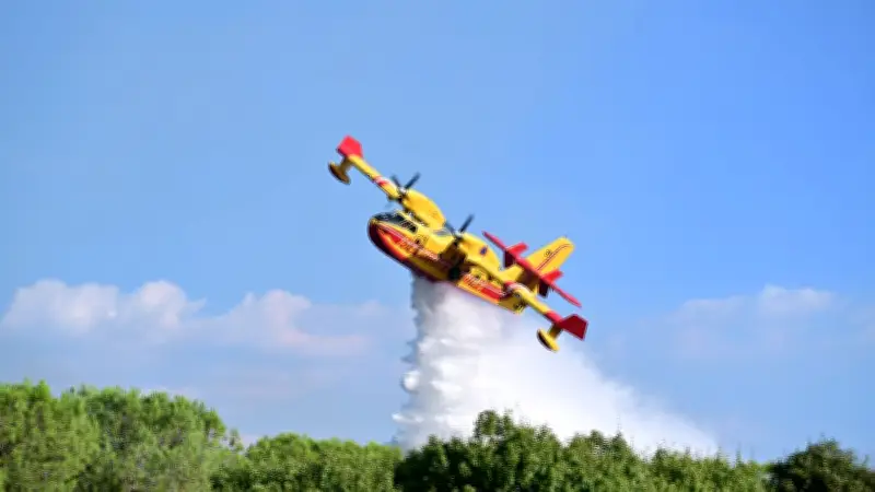Incendie en Occitanie : la saison des feux de forêt lancée