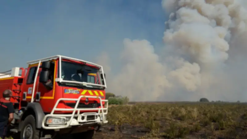 Incendie à Grabels : 1000 m2 de végétation brûlés à La Valsière