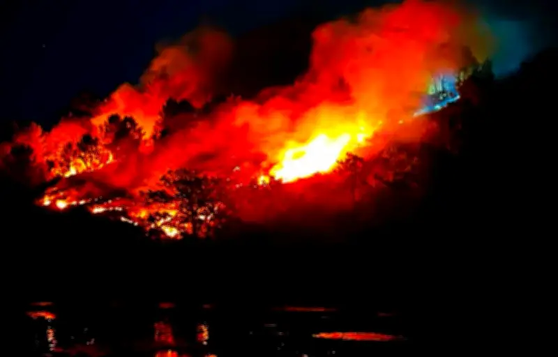 Incendie à l'Île aux Pies en Bretagne : un hectare de végétation détruit