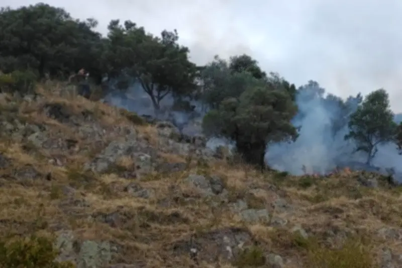 Incendie à Mandelieu : un hectare de végétation détruit par le feu