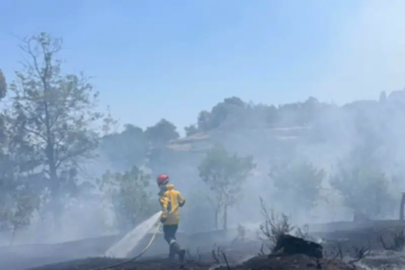 Incendie maîtrisé à Cannes : 2 500 m² brûlés dans le massif de la Croix-des-Gardes