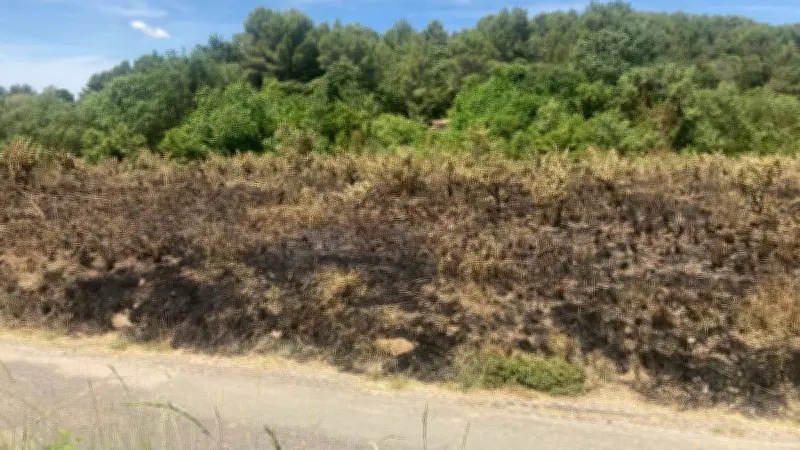 Incendie maîtrisé près du Moulin de Julien à Neffiès