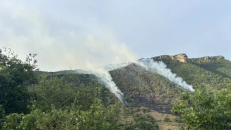 Incendie à Nant : 10 hectares brûlés, Canadairs et pompiers mobilisés
