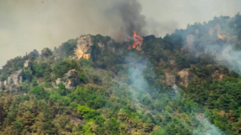 Incendie à Nant : le feu sous contrôle, 35 hectares brûlés
