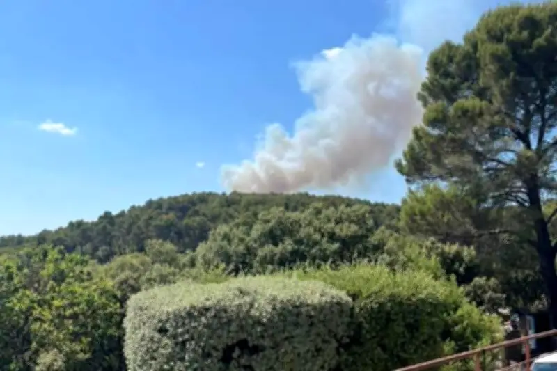 Incendie près de Draguignan : 53 pompiers et deux hélicoptères mobilisés