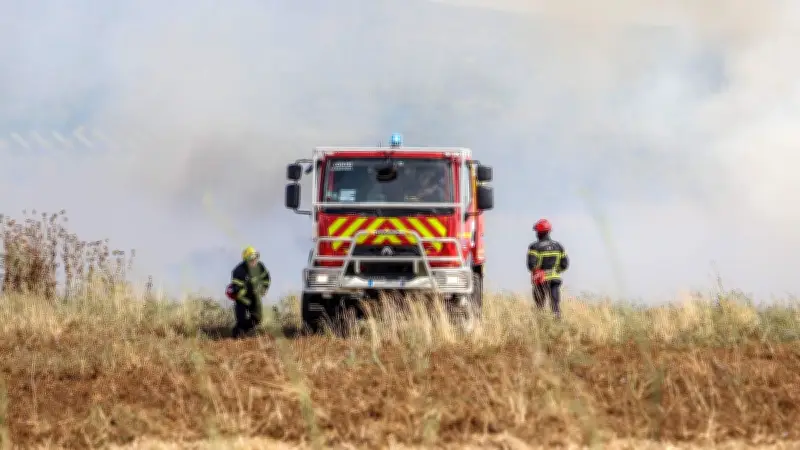 Incendie près de l'A709 à Montpellier : 2 000 m² brûlés, propagation stoppée