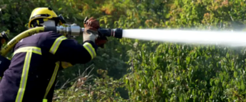 Incendie à Servas : 1,5 hectare de végétation détruit, 30 pompiers mobilisés