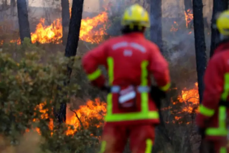 Incendie à Tanneron : 3 000 m² de végétation détruits, 18 pompiers mobilisés
