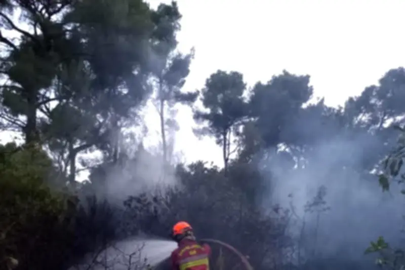 Incendie à Toulon : 5000 m² de broussailles brûlés, lutte difficile
