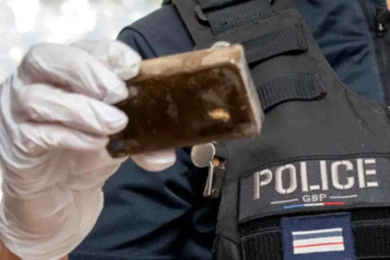 Jipsa le chien policier débusque un trafiquant de drogue à La Garde