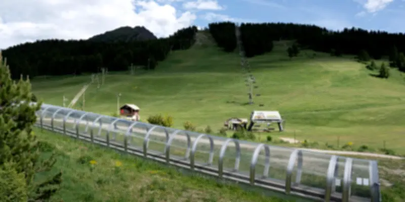 JO 2030 : plus de 3 hectares d’arbres menacés par les pistes de snowboardcross et skicross