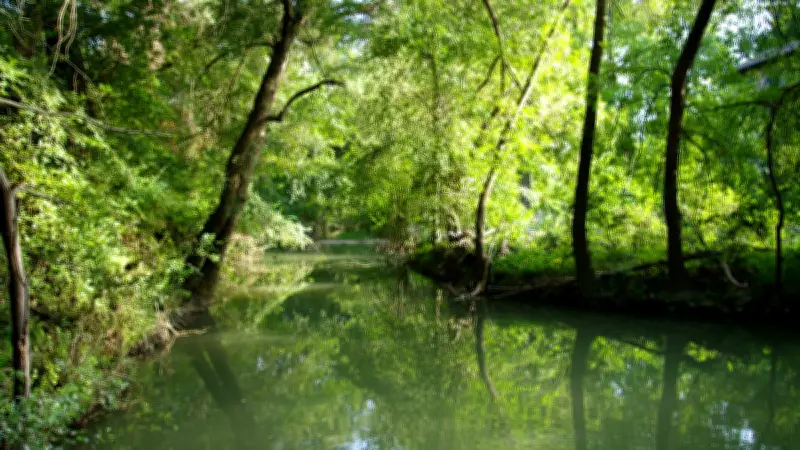 Journée de sensibilisation autour de la rivière Mosson à Saint-Jean-de-Védas