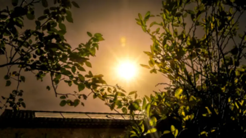 Jusqu'à 39°C dans le Gard : canicule et risque incendie élevé