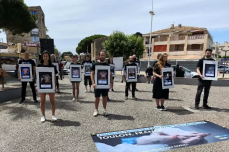 L214 installe son village militant à La Seyne pour la Journée des animaux