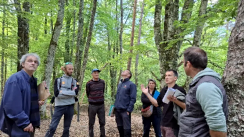La forêt des Mazes sacrée au SylvoTrophée 2026