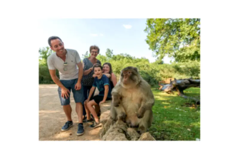 La forêt des singes : une immersion unique dans la biodiversité