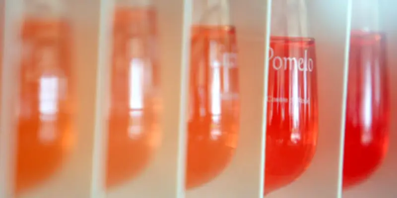 La France championne du monde du vin rosé : production en hausse
