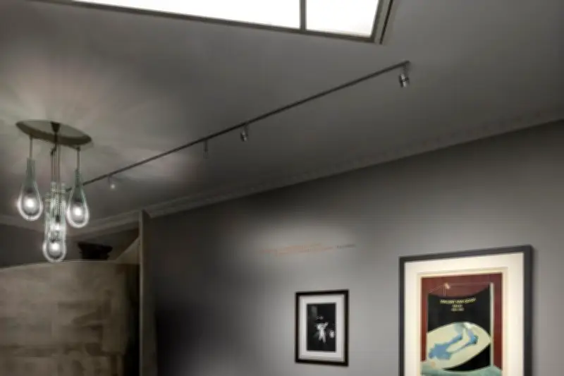 L'amitié entre Francis Bacon et Peter Beard au cœur d'une exposition à Monaco