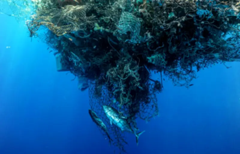Le 7e continent de plastique : une pollution bien plus diffuse qu'imaginé