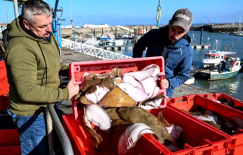 Le tribunal ordonne un plan d'action pour protéger les cétacés dans le golfe de Gascogne