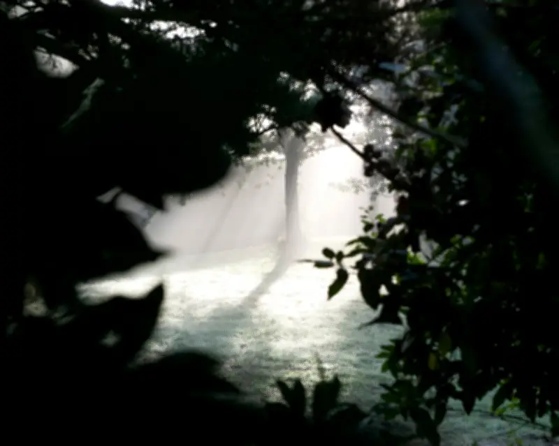 L'eau comme la foudre de Laure Pfeffer lu par Judith Soria archiviste
