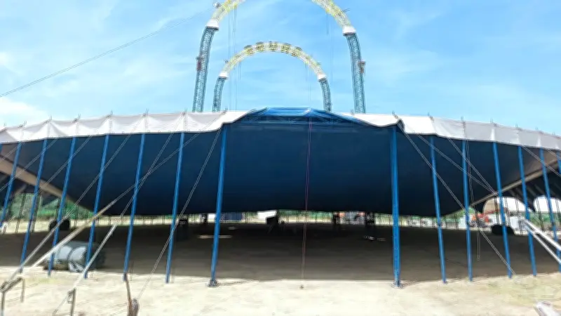 Les 50 étalons des Folies Gruss arrivent à Béziers pour l'été