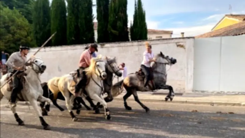Les Estivales de Générac : un week-end réussi pour les traditions camarguaises
