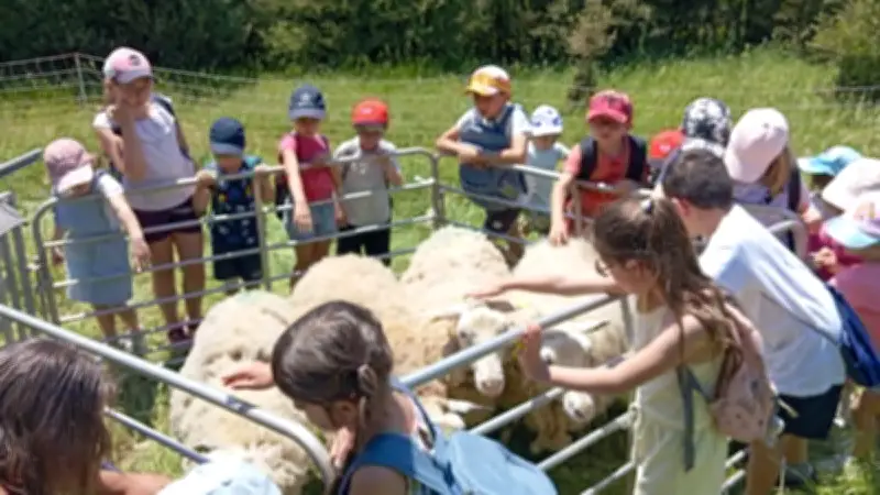 Les élèves découvrent le pastoralisme au domaine de La Fage