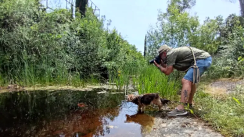 Les mares, alliées naturelles contre les moustiques