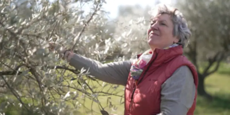 Les pouvoirs insoupçonnés de la nature : une balade entre jardins et forêts sur France TV