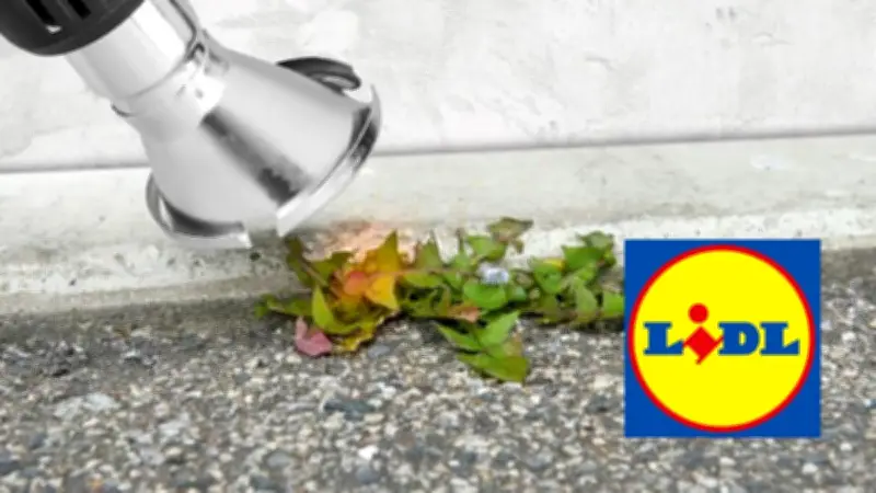 Lidl casse le prix de ce désherbeur thermique Parkside à moins de 15 €