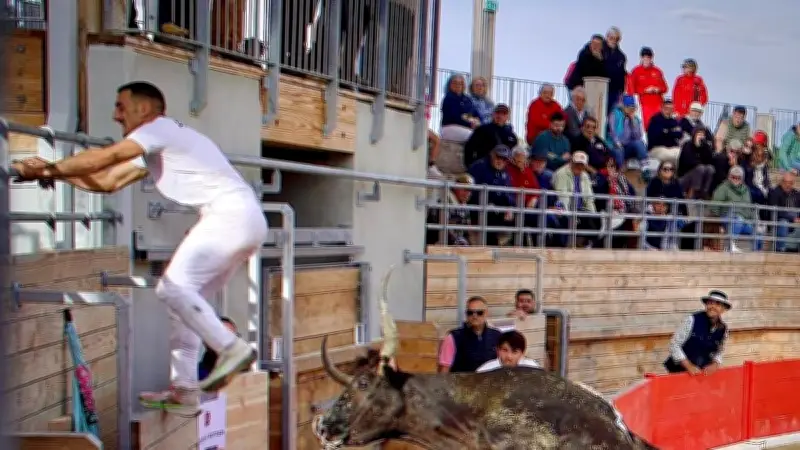 Lou Ferri : transmission de la course camarguaise aux jeunes