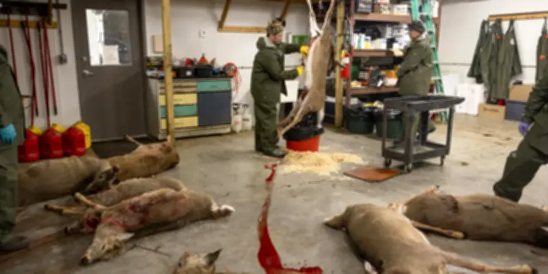 Maladie du cerf transmissible à des primates non humains