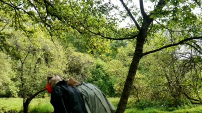 Marche dansée 4x4 : une expérience immersive entre danse et paysage en Lozère